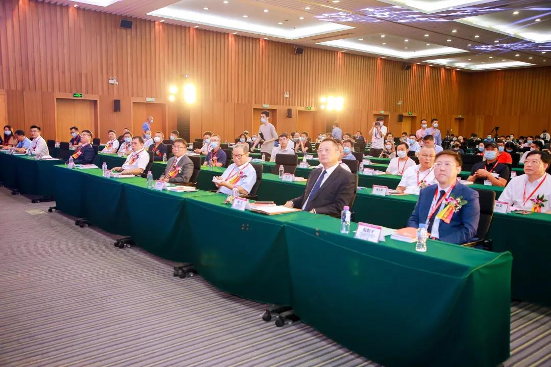 中国青旅集团 2020世界文旅大会 倪阳平