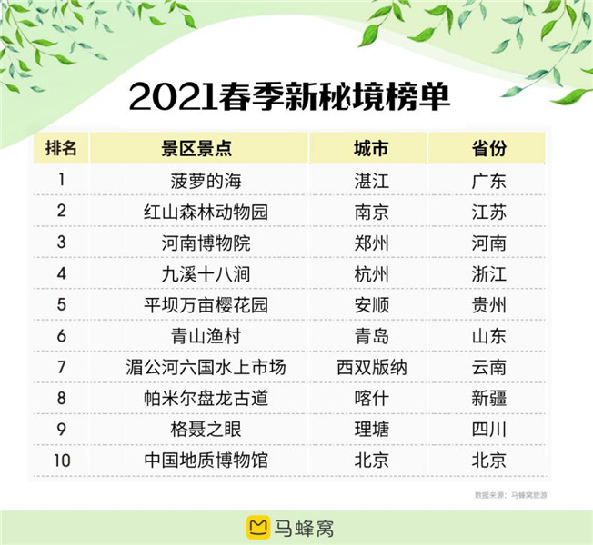 河南 马蜂窝