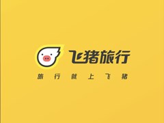 站在“双十一”回看,飞猪究竟“独立”了吗?
