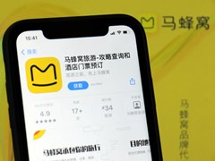 我们需要一个怎样的马蜂窝？